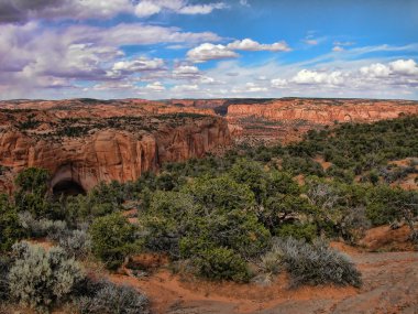 Büyük Kanyon, arizona