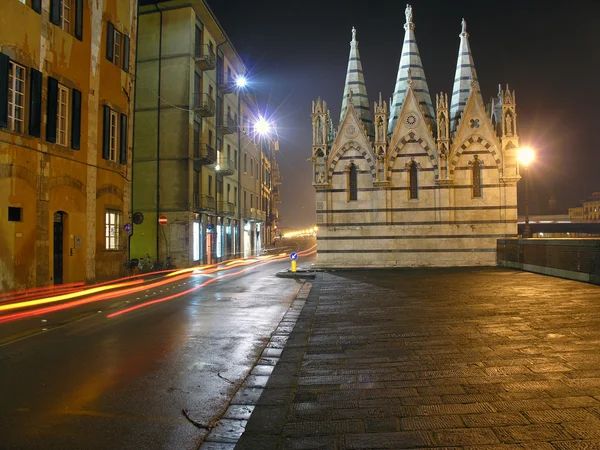 キエーザ ・ デッラ ・ スピーナ教会、ピサ、イタリア — ストック写真