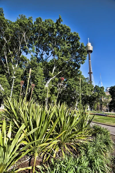 Sydney, australien, 2009 — Stockfoto