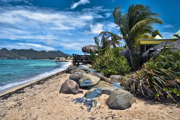 stock image Coast in Saint Maarten Island