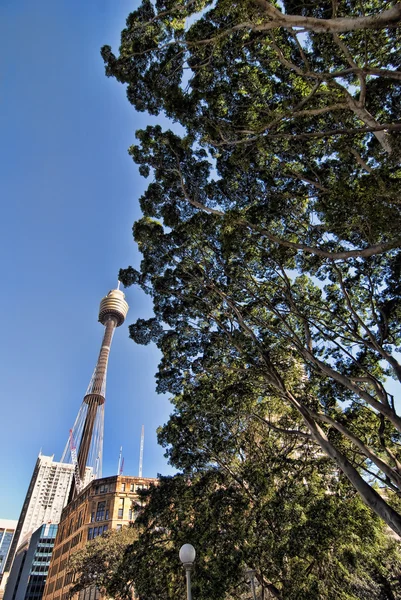 Sydney, Austrália, 2009 — Fotografia de Stock