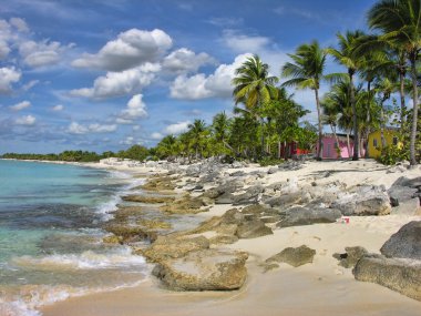 Santo Domingo, Sırp Dominicana