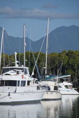 bir port douglas queensland port