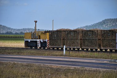 kırsal Queensland, Avustralya