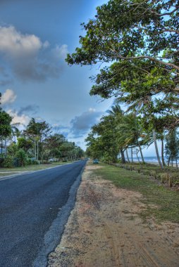 ağaç daintree Milli Parkı