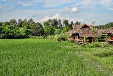 changmai, Tayland