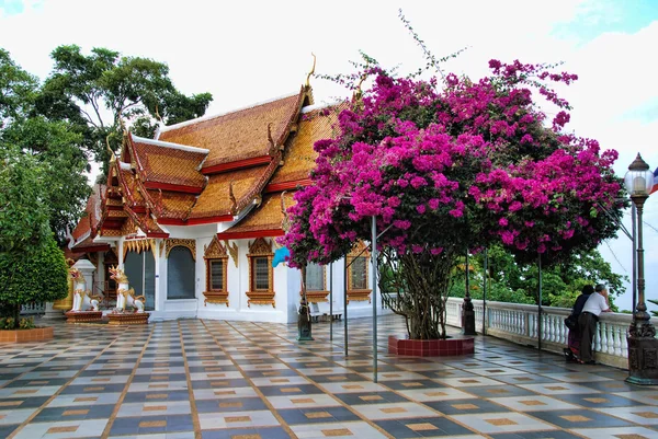 Tempel in der Nähe von changmai, Thailand — Stockfoto
