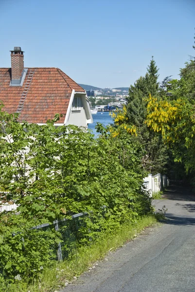 Detalj av en park i oslo, Norge, maj 2009 — Stockfoto