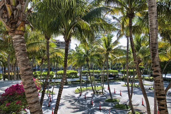 Park in Miami, Florida — Stockfoto