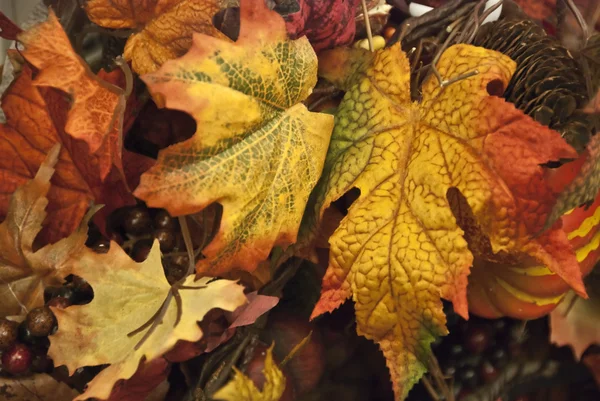 Fallen Leaves, Toronto , Canada — Stock Photo, Image