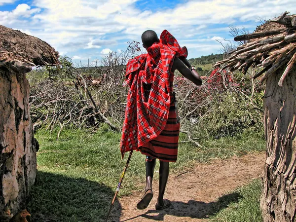 Szczegóły w Kenii, w Afryce — Zdjęcie stockowe