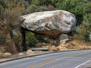 Sequoia National Park, U.S.A. clipart