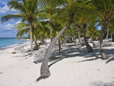 Santo Domingo, Sırp Dominicana