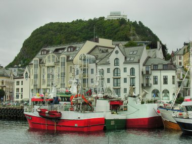 Alesund, Norveç