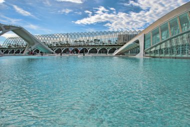 kleine balerinasSanat ve bilim, valencia şehir