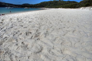 Whitsunday Adaları, Avustralya