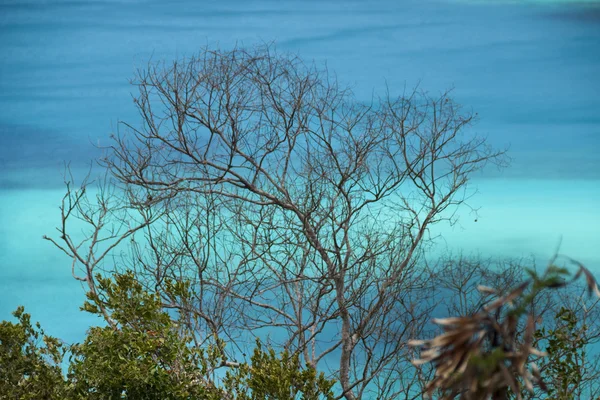 私たちはバージン諸島セント ・ トーマス — ストック写真