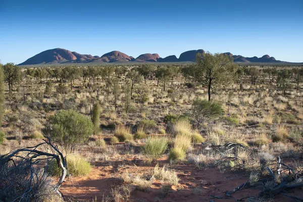 Australische outback — Stockfoto