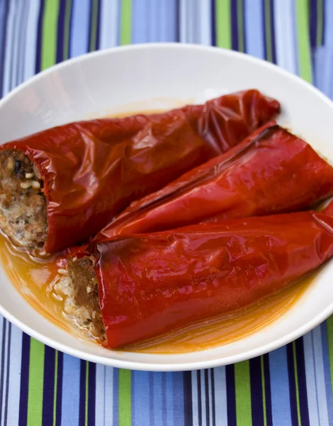 붉은 고추 고기 박제 — 스톡 사진