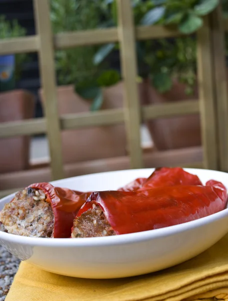 Paprika gefüllt mit Fleisch — Stockfoto