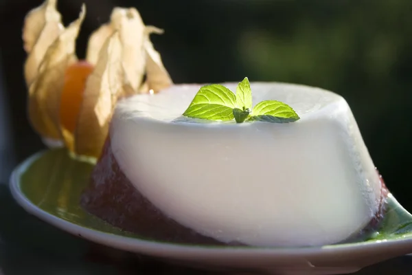 stock image Two-layered strawberry panna cotta