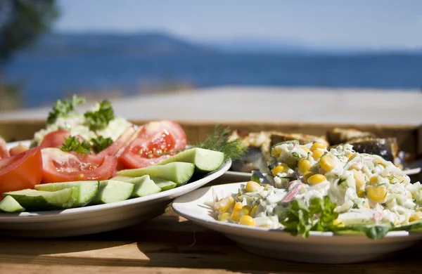 Tray of russian food with a sea view — Stock Photo, Image