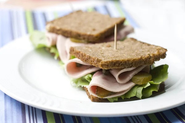 Teljes kiőrlésű Törökország szendvics — Stock Fotó