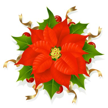 Christmas flower clipart