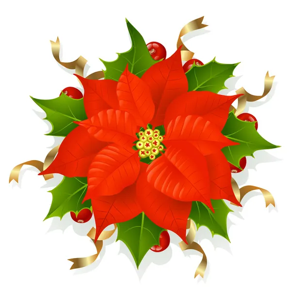 Різдвяний квітка — стоковий вектор