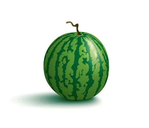 Juicy watermelon — Stock Vector