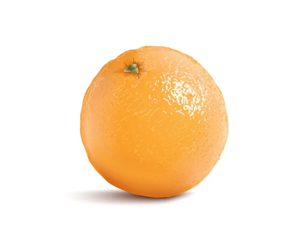 Πορτοκαλί απομονωμένες διάνυσμα — Διανυσματικό Αρχείο