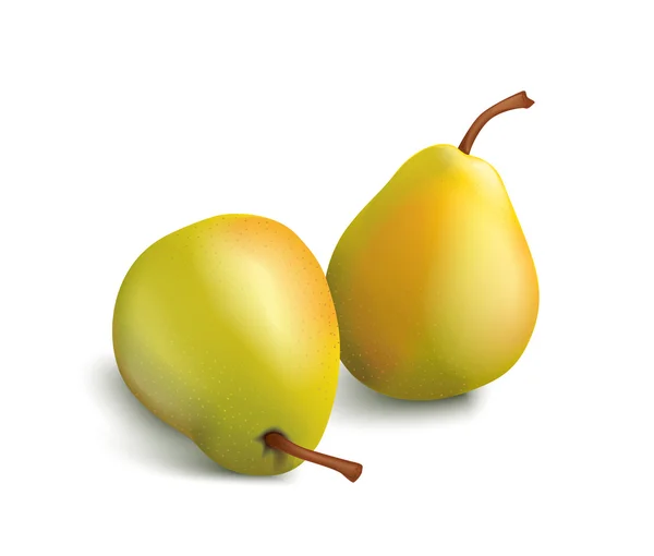 Geïsoleerde peren — Stockvector