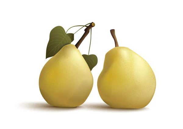 stock vector Isolated pears