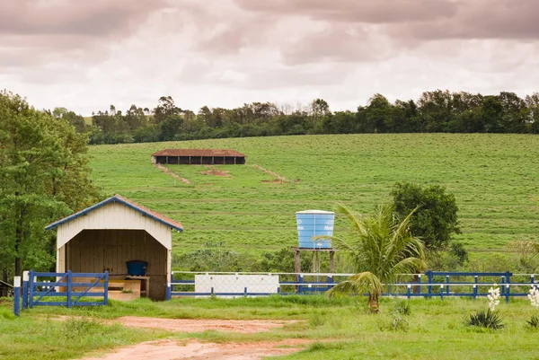 Fazenda brasileira — Fotografia de Stock