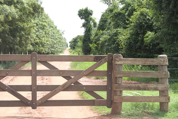 Сельские ворота — стоковое фото