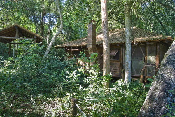 Dom dżungla — Zdjęcie stockowe
