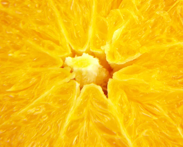 Orange macro — Fotografie, imagine de stoc