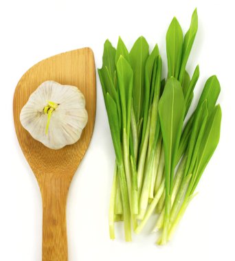 Garlic and ramsons clipart