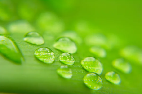 stock image Water drops background