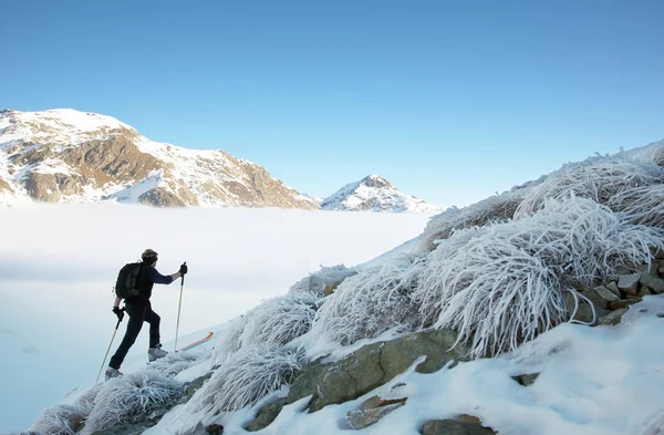 Backcountry kayakçı — Stok fotoğraf