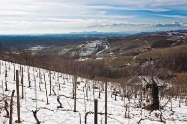 Snowed vineyards clipart