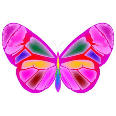 Butterfly 4 clipart