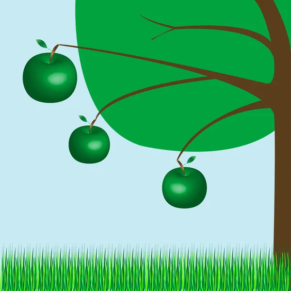 Apple tree — Stock Vector