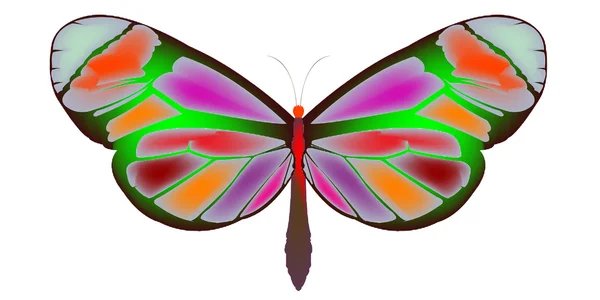 Vlinder 3 — Stockvector