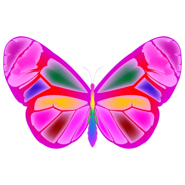 Motýl 4 — Stockový vektor