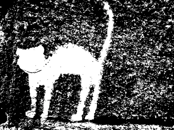 Штукатурки кішка — стоковий вектор