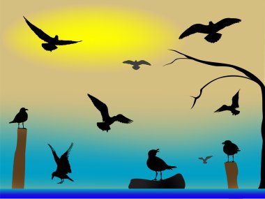 Birds paradise clipart