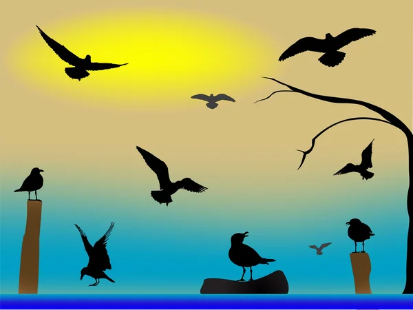 Ptačí ráj — Stockový vektor