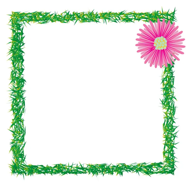 Grass and flower photo frame — Stock Vector