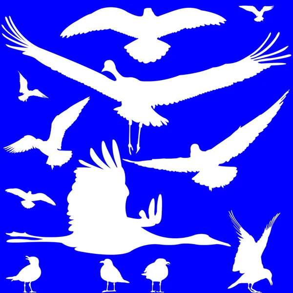 Silhouette uccelli bianchi sopra blu — Vettoriale Stock